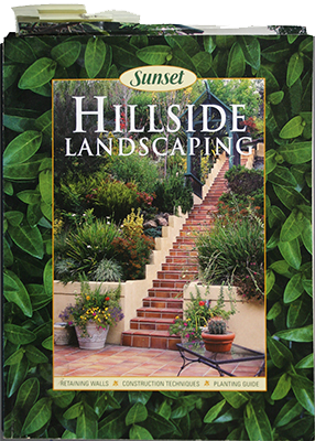 Hillside Lanscaping