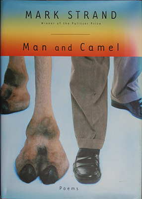 Man and Camel