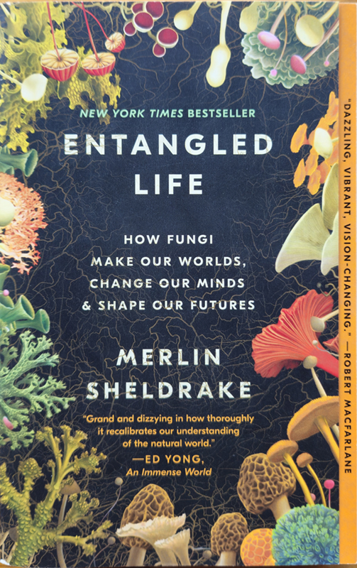 Entangled Life